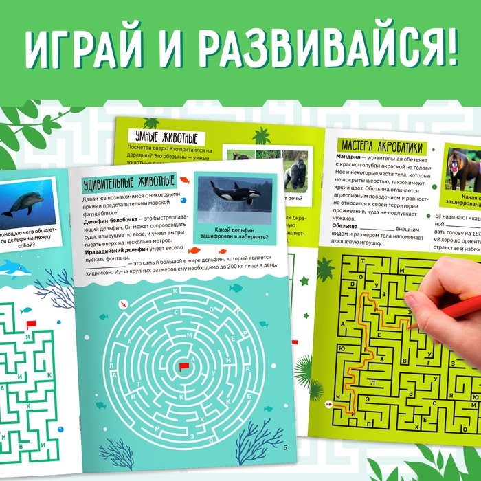 Набор книг &laquo;Лабиринты и факты: Пройди лабиринт и узнай факт!&raquo;, 4 книги по 24 стр., 6+