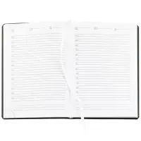 Ежедневник Sagrin, недатированный, зеленый