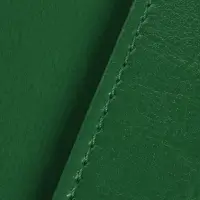 Обложка для паспорта Nebraska, зеленая