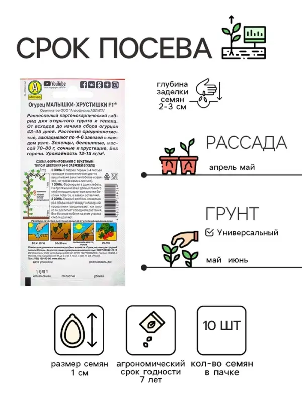 Семена Огурец "Малышки-Хрустишки" F1, раннеспелый, партенокарпический, 10 шт