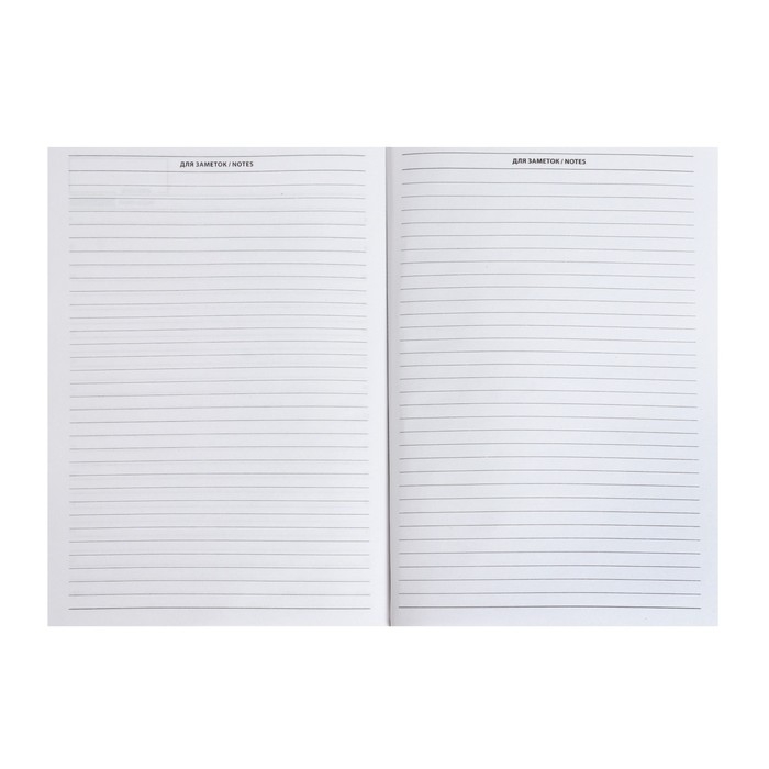 Ежедневник недатированный А5, 128 листов "РОССИЯ", твёрдая обложка, глянцевая ламинация