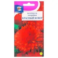 Набор семян Календула махровая "Красный ковёр", 5 шт.