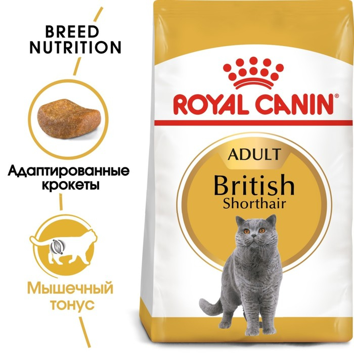 Сухой корм RC British Shorthair для британских кошек, 10 кг