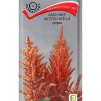 Семена цветов Амарант метельчатый Цитрин, 0,05гр