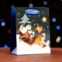 Пакет ламинированный &laquo;Сказочная ночь&raquo; 11.5&times;14.5&times;6 см