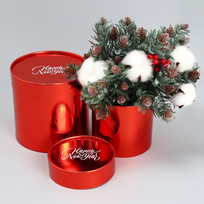 Набор коробок 2в1 круглые Happy New Year, красный металлик, 12 х 12, 15 х 15 см, Новый год Набор коробок 2в1 круглые Happy New Year, красный металлик, 12 х 12, 15 х 15 см, Новый год