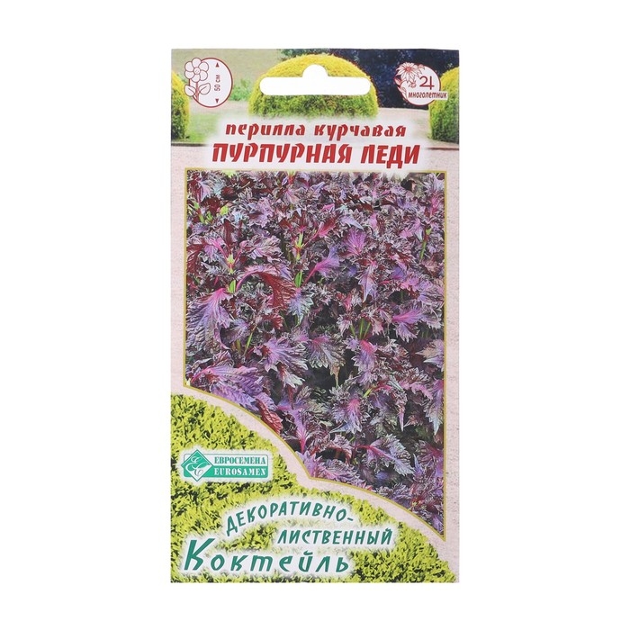 Семена Перилла курчавая Семена Перилла курчавая "Пурпурная Леди", 0 ,1 г