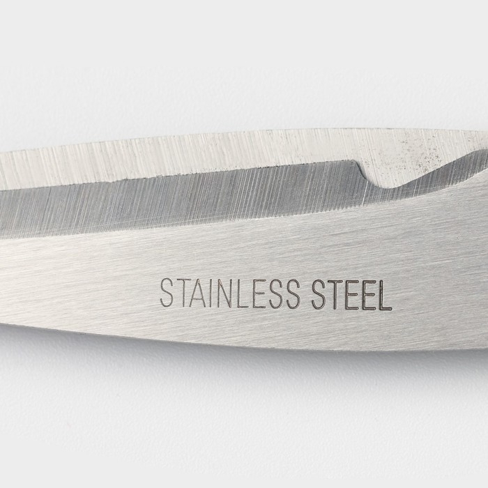 Ножницы кухонные Доляна &laquo;Помощник&raquo;, 19 см, цвет зелёный