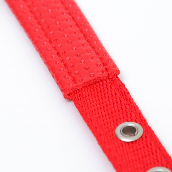 Ошейник "Комфорт" комбинированный, 45 х 2 см, ОШ 30-39 см, красный