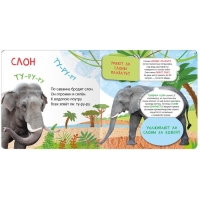 Книжки с окошками «Кто где живёт?» Книжки с окошками «Кто где живёт?»