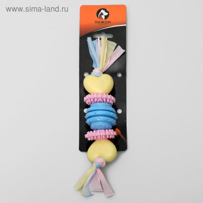 Игрушка жевательная для собак Пижон Premium на верёвке, 5 элементов, термопластичная резина, микс Игрушка жевательная для собак Пижон Premium на верёвке, 5 элементов, термопластичная резина, микс