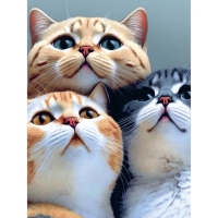 Картина по номерам в тубусе &laquo;Котята&raquo;, 30 х 40 см