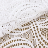 Кружевная эластичная ткань, 180 мм × 2,7 ± 0,5 м, цвет белый Кружевная эластичная ткань, 180 мм × 2,7 ± 0,5 м, цвет белый