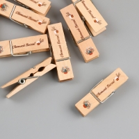 Декор для творчества дерево "Прищепка - Светлой Пасхи!" набор 10 шт