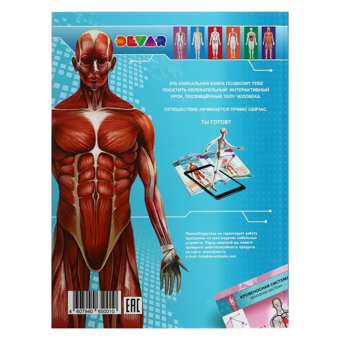 Энциклопедия 4D в дополненной реальности &laquo;Анатомия&raquo;