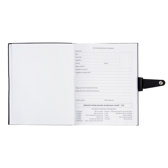 Дневник универсальный для 1-11 класса Favourite. Black, мягкая обложка, искусственная кожа, тиснение фольгой, ляссе, 80 г/м2