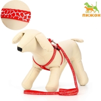 Комплект прошитый "Жираф", ширина 1 см, поводок 120 см, шлейка 23-35 см, красный Комплект прошитый "Жираф", ширина 1 см, поводок 120 см, шлейка 23-35 см, красный