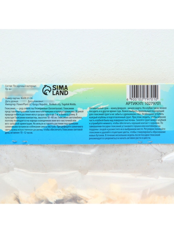 Глоксиния &laquo;Бланш де Меру&raquo;, многолетник, комнатный, луковица в пакете с перфорацией, р-р 5/6, 2 шт.