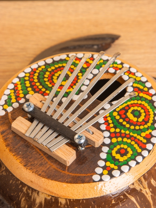 Сувенирный музыкальный инструмент Калимба &laquo;Черепаха&raquo;, 18&times;24&times;6 см, албезия, кокос