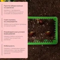 Корзина для луковичных, квадратная, 25&times;20 см, зелёная, Greengo