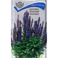 Семена цветов Шалфей пышный Фиолетовый, 0,1гр