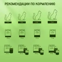 Влажный корм Kitekat для кошек, говядина в желе, пауч, 85 г