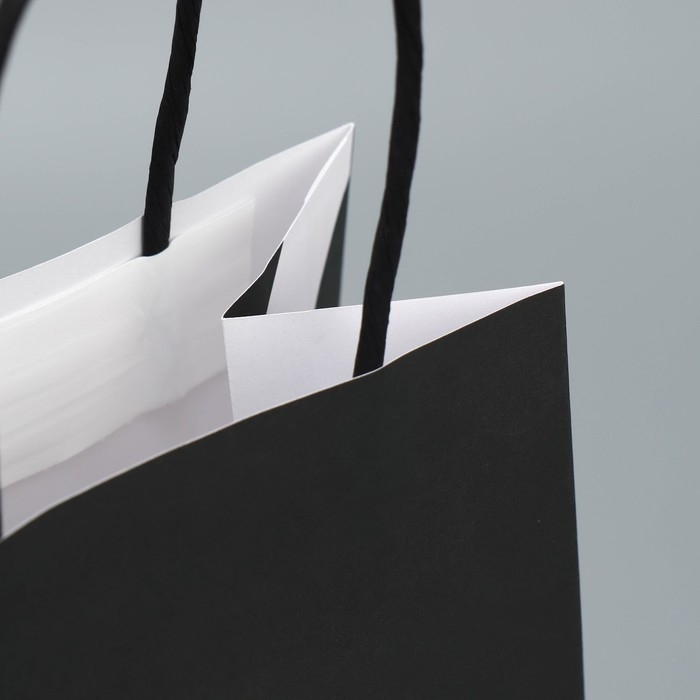 Пакет подарочный крафтовый, упаковка, &laquo;Королева&raquo;, 12 х 21 х 9 см