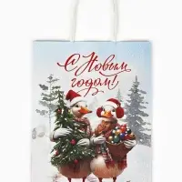Набор пакетов крафтовых &laquo;С Новым счастьем!&raquo;, 10 шт, 21 &times; 27 &times; 11 см