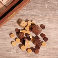 Нарды 17х12,5х3,5 см, дерево шишам, латунь