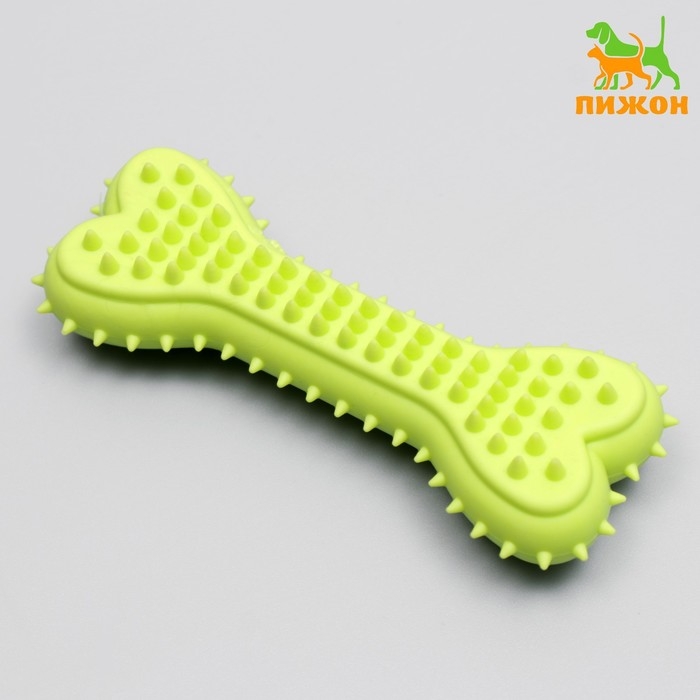 Игрушка жевательная литая Игрушка жевательная литая "Кость для массажа", 11 х 4 х 2 см, салатовая