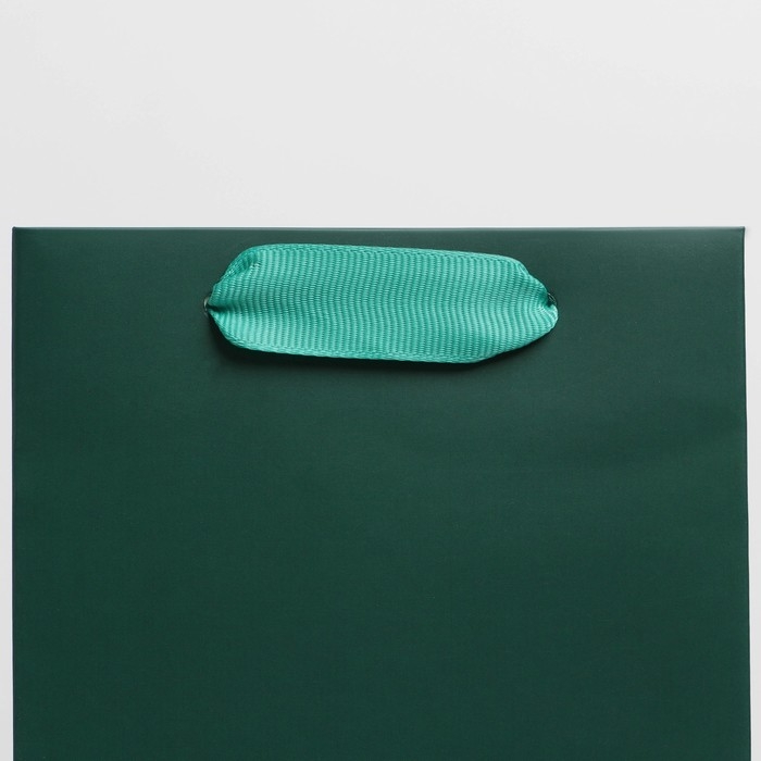 Пакет подарочный под бутылку, упаковка, &laquo;Изумруд&raquo;, 13 x 36 x 10 см