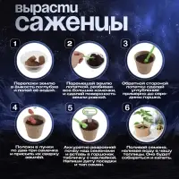 Набор для опытов &laquo;Моя мини-ферма&raquo;, выращивание растений, в космосе