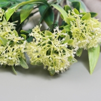 Букет "Цеструм галант" 25 см