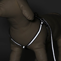 Комплект светоотражающий "Косточки", поводок 1 х 120 см (ОШ 22-34 см ,ОГ 22-34 см) чёрный