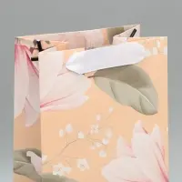 Пакет подарочный под бутылку, упаковка, &laquo;Воспитателю&raquo;, 35 х 13 х 10 см