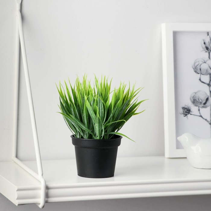 Бонсай в горшке Бонсай в горшке "Зелень люкс" 7х11 см