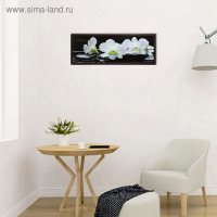 Картина "Орхидеи на чёрных камнях" 57*157 см рамка МИКС