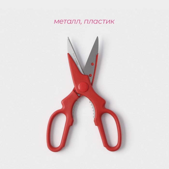 Ножницы кухонные Доляна &laquo;Вега&raquo;, 20 см, цвет МИКС