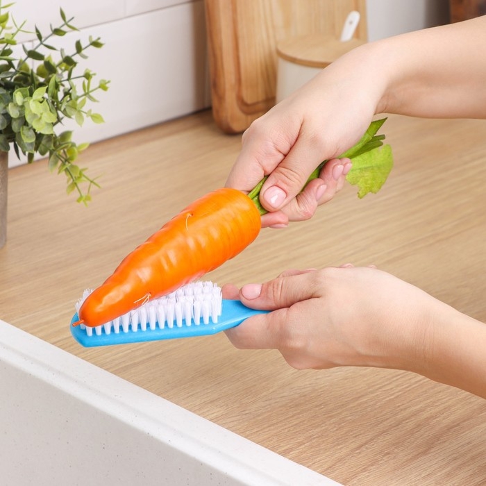 Щётка для овощей и фруктов с ручкой Доляна, 17&times;3,3&times;2 см, цвет МИКС