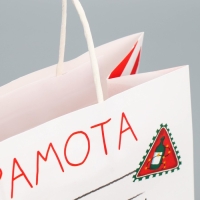 Пакет подарочный новогодний крафтовый &laquo;Молодец&raquo;, 22 х 22 х 11 см, Новый год