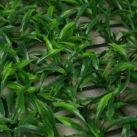 Декоративная панель, 60 &times; 40 см, &laquo;Трава&raquo;, Greengo