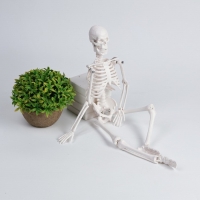 Фигурка "Скелет" 45 см