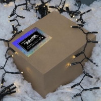 Гирлянда &laquo;Занавес&raquo; 2 &times; 6 м, IP65, УМС, тёмная нить, 1440 LED, свечение тёплое белое, 220 В