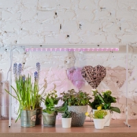 Фитосветильник светодиодный Uniel, 10 Вт, 572 мм, IP20, 220 В, полноспектральный, с выкл. Фитосветильник светодиодный Uniel, 10 Вт, 572 мм, IP20, 220 В, полноспектральный, с выкл.