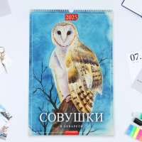 Календарь перекидной на ригеле А3 "Акварельные совушки" 2025 год, 32 х 48 см Календарь перекидной на ригеле А3 "Акварельные совушки" 2025 год, 32 х 48 см