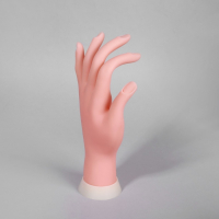 Рука тренировочная для маникюра, с гнущимися пальцами, в картонной коробке, цвет бежевый