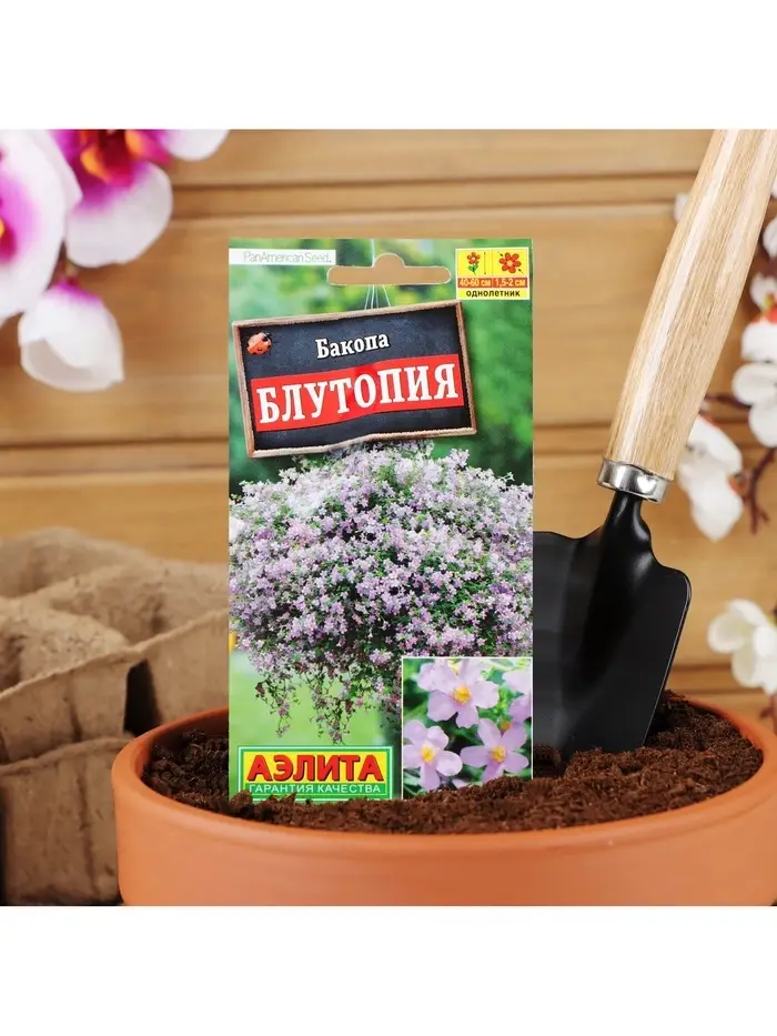 Набор семян Бакопа Блутопия, 2 шт.