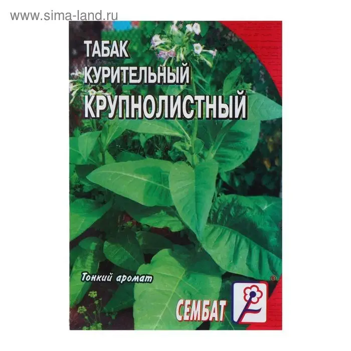 Семена Табак  "Крупнолистный  512",  0.01 г