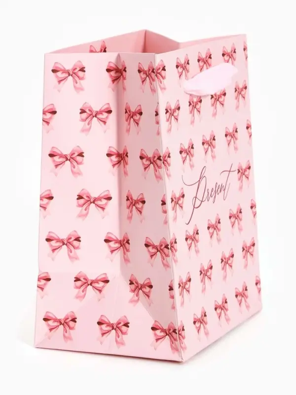 Пакет ламинированный Present, 9 &times; 12 &times; 6,5 см