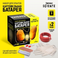 Набор для опытов &laquo;Картофельная батарейка&raquo;